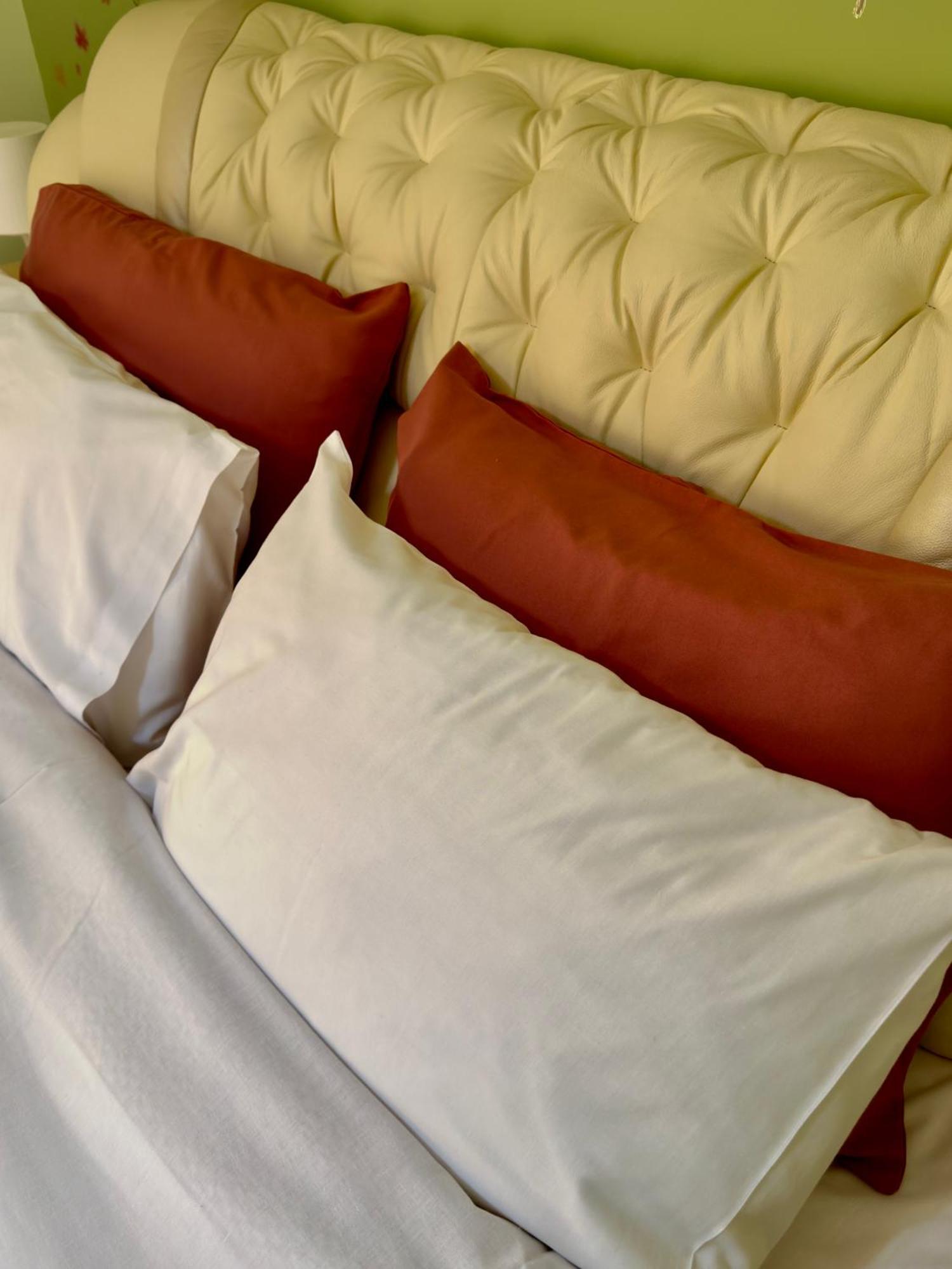 Luxury Apartment In The Center إذيسا المظهر الخارجي الصورة