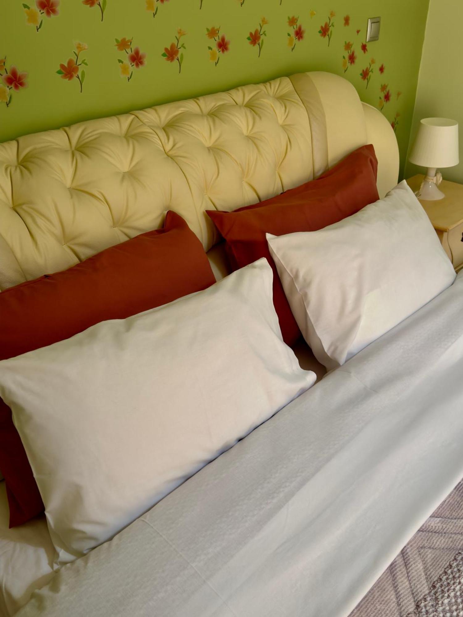 Luxury Apartment In The Center إذيسا المظهر الخارجي الصورة